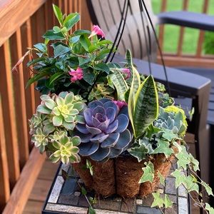 Meet your Posher, Kathy